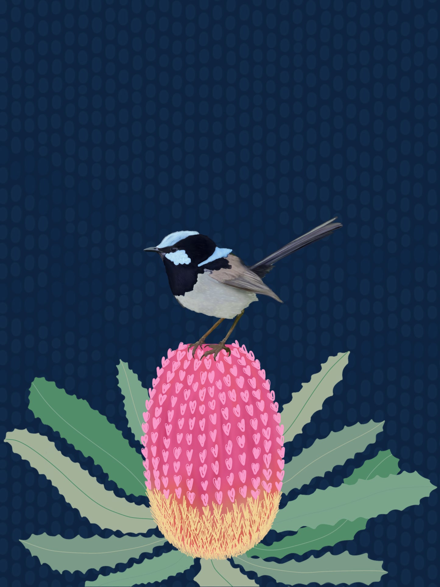 Sky Series- Superb Fairywren