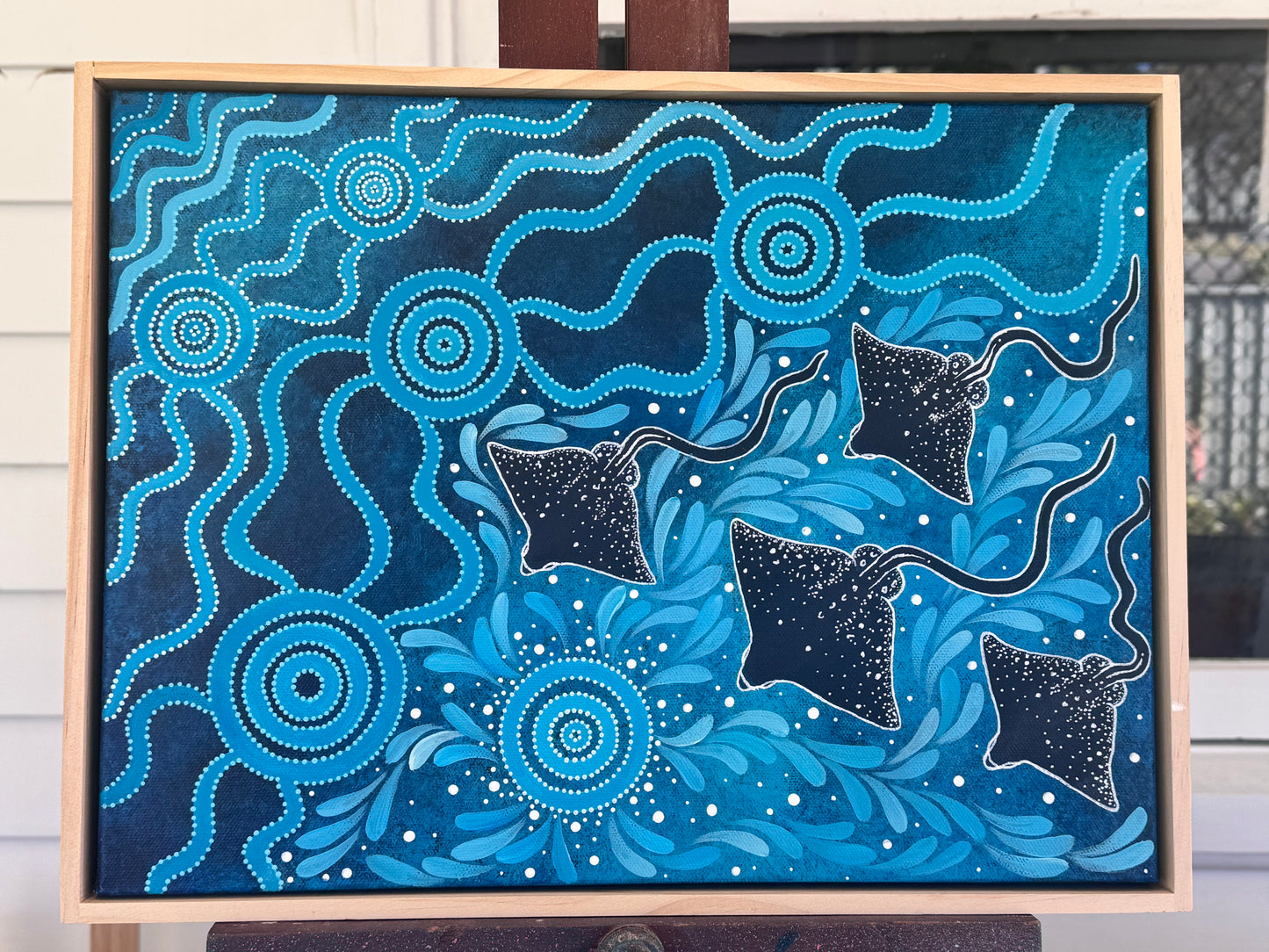 Spotted Eagle Rays: Saltwater Country