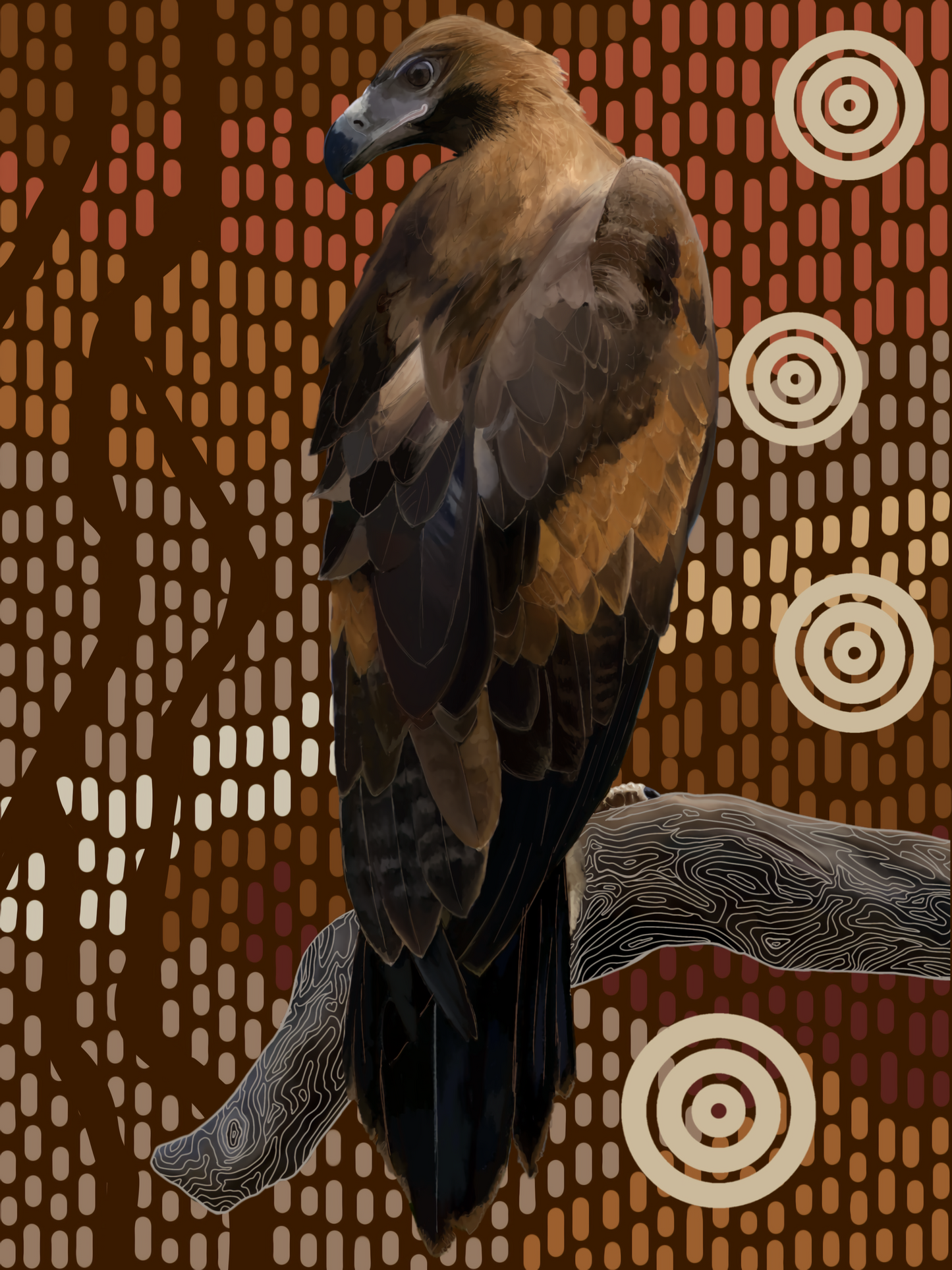 Sky Series- Wedged-tailed Eagle