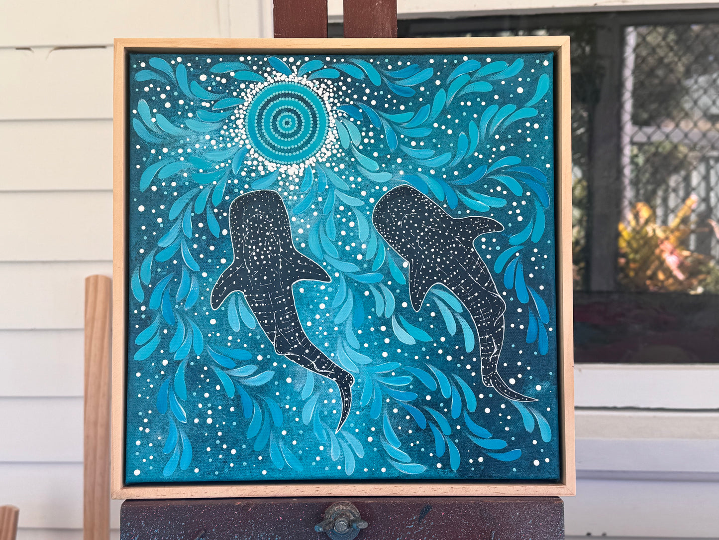 Whale Sharks: Saltwater Country
