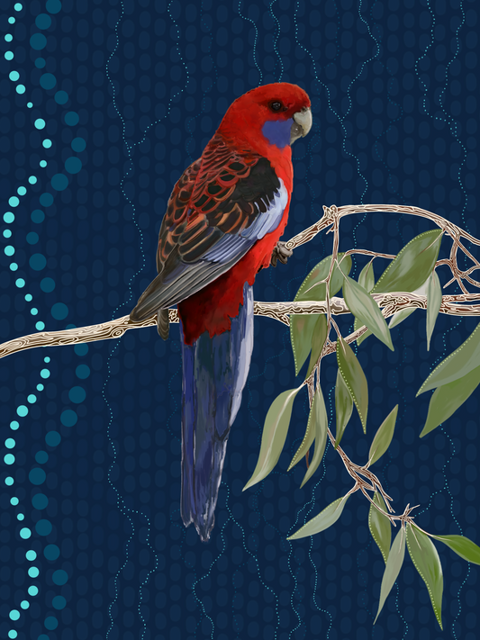 Sky Series- Crimson Rosella