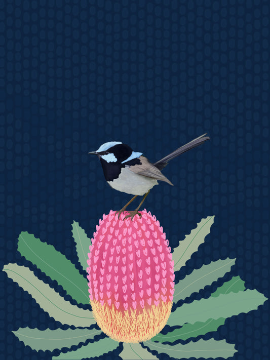 Sky Series- Superb Fairywren
