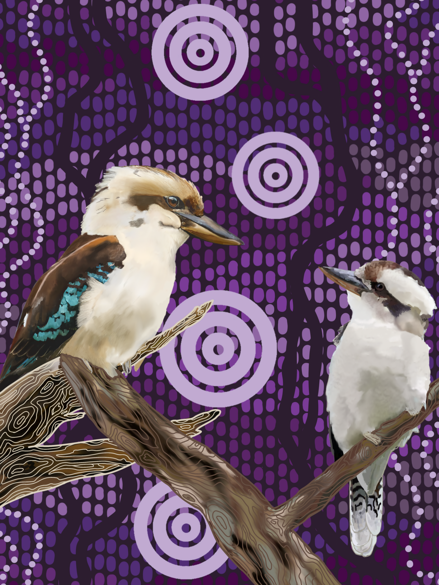 Sky Series- Kookaburras