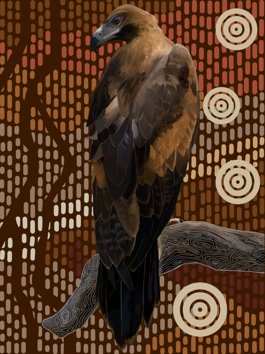 Sky Series- Wedged-tailed Eagle