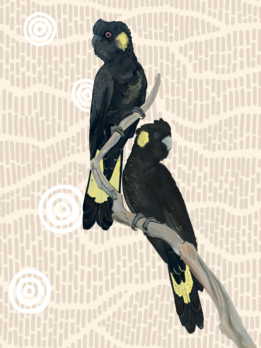 Sky Series- Yellow Tailed Black Cockatoos