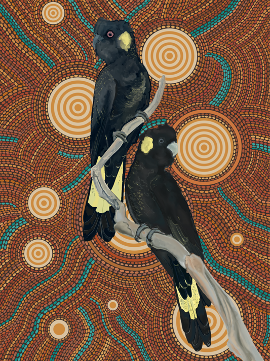 Sky Series- Yellow-Tailed Black Cockatoos