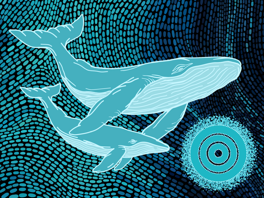 Saltwater Series- Humpback Whales